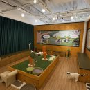 와이즈캐슬 | [부산 여행 아이와 함께 가볼 만한 곳] 고양이 카페/ 부산 남포동 브룩스캣슬 부산