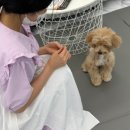 오늘의개스트 이미지