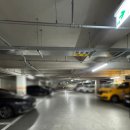 라온 | 한화 야구 선수들도 다니는 대전 효동 라온필라테스 후기