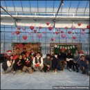 병을농장 | 논산 딸기 체험농장 견학 후기 [온누리 딸기농장] │연동하우스 비용·구조·운영 노하우