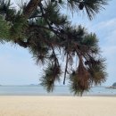 송호해수욕장2화장실 이미지