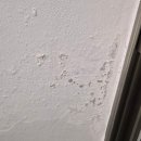 은하주공1차경로당 | 복도형 아파트 '끝집' 베란다 결로가 심한 이유? 부천 은하마을 페인트 방문 견적 후기