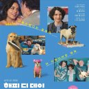 해피멍멍이 이미지