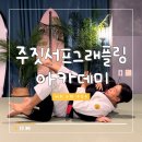 제주 주짓수 주짓서프 아카데미 | 제주 주짓수 &#39;주짓서프그래플링아카데미&#39; 원데이 클래스 후기