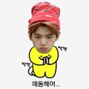 리라언니