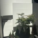 바인허브한의원 이미지