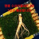 고려수삼 쇼핑하우