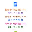 애락의원 Daum카페