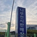하모니농장 | [농장일기]김해시산림조합 나무시장 블루베리 사과나무 묘목 구매