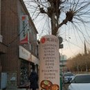 동오카센타 이미지