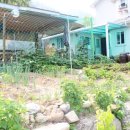 올리브펜션 이미지