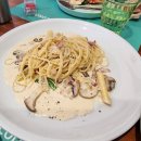 일라레콜로로 이미지