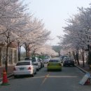전라북도립미술관 티스토리