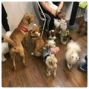 개편한카페 이미지