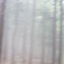 제암산자연휴양림 더늠길 이미지