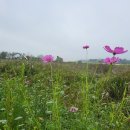 삼주1길 이미지