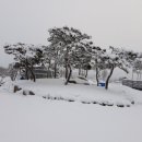 모래틈농장 이미지