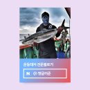 새진해낚시