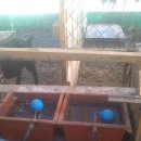 가람농장 이미지