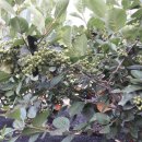 은골농장 이미지