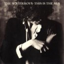 문씨(Moon Sea)네 | [죽기 전에 꼭 들어야 할 팝송 940] The Waterboys - The Whole of the Moon