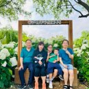 색동다리 | 이번 주말, 공주 유구 색동수국정원 꽃축제! 수국 개화현황과 나들이 후기 🌸