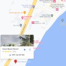 [세부 오슬롭 고래상어 셀프투어] 이동방법, 티켓팅방법 등 자유여행 후기
