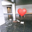 씨유 울주두서점 | [울산/두서] 초록빛 청보리밭이 펼쳐지는 신상 대형 카페 '나인힐' 방문기