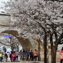 월드컵경기장 주변 뒷길 이미지