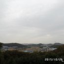 요골 이미지