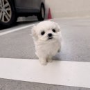 요미 티스토리