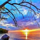 향기다방 이미지