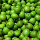 조준농장 이미지