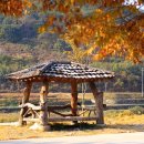 원텃골식당 이미지