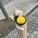 연하동 - 강남구 강남대로110길 19-1 | 연하동