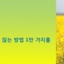 맨파워그룹코리아 경남 사천) BAT KOREA 구매부 admin 채용 ~04.20 이미지