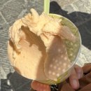 번영약국 | 근교 소도시 여행 : 산지미냐노(San Gimignano) 당일치기 전망대 &amp; 시가지 &amp; 돈델리 젤라또 정보 후기