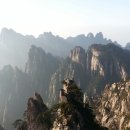 레디젯코리아 이미지