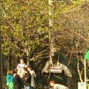 창민 농장 이미지