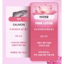 핑크볼 | 2주 쿨톤 체인저, 올리브영 [한스킨 PDRN 세럼 핑크볼] 후기