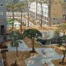 사파동265 이미지