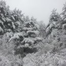 둔일농장 이미지