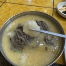 봉평옹심이메밀국수 | 부천시청맛집 봉평옹심이메밀칼국수 방문후기