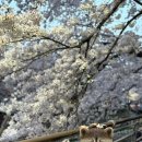 삼호공원 화장실 이미지