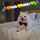 올바르개 이미지