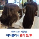 헤어클리닉 | 손상모 헤어클리닉 후기 (분당 서현역미용실 모발클리닉 열손상모관리)