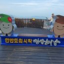 모노포레스트 이미지