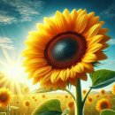 구암동319 이미지