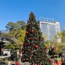 구암동279 | 최근에 다녀온 대전 카페 리스트