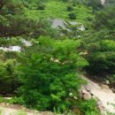 심거계곡펜션 이미지